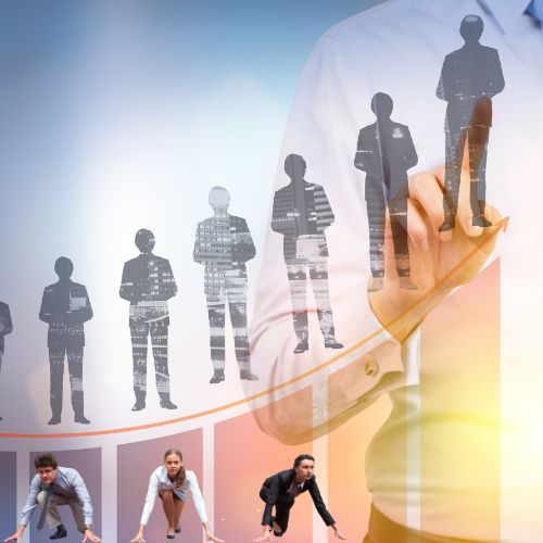 Career tools and opportunities